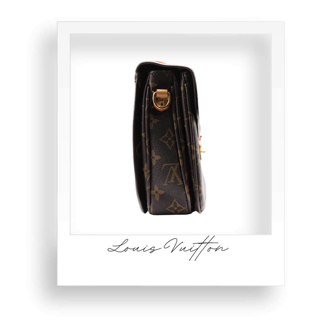 Brown Crossbody Purse