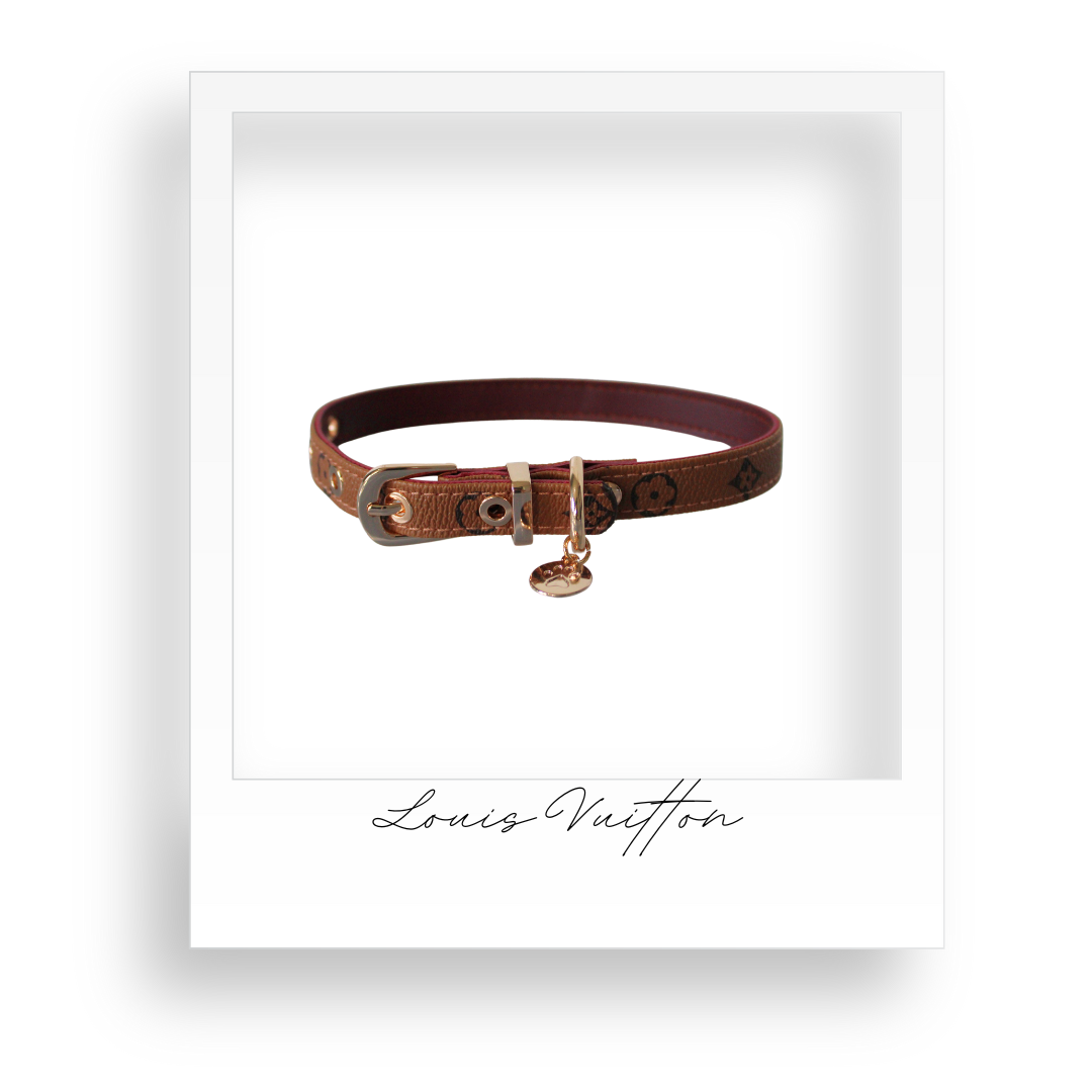Dog/Cat Collar and Leash Set