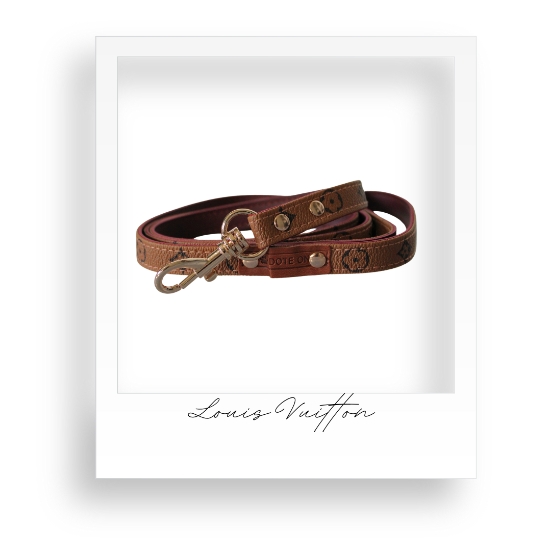 Dog/Cat Collar and Leash Set
