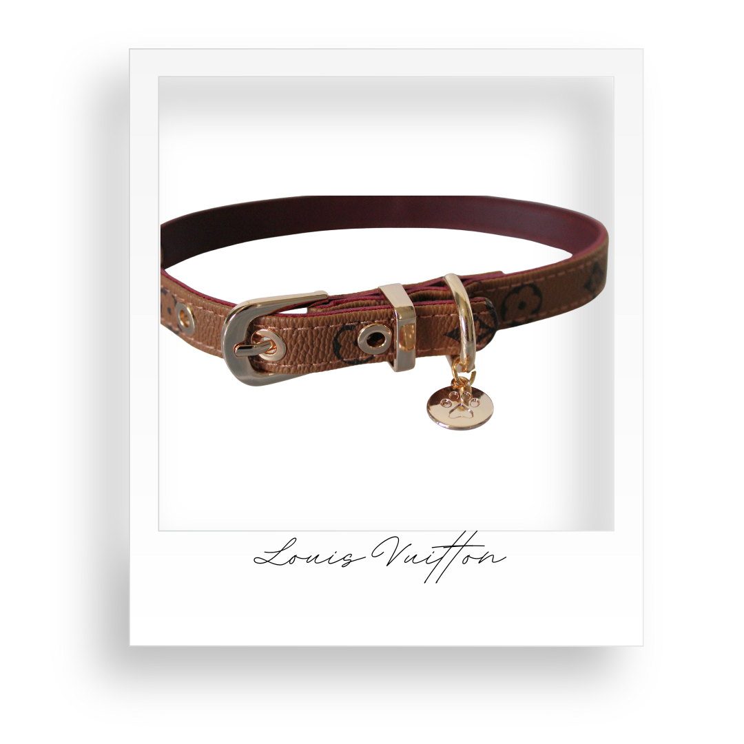 Dog/Cat Collar and Leash Set