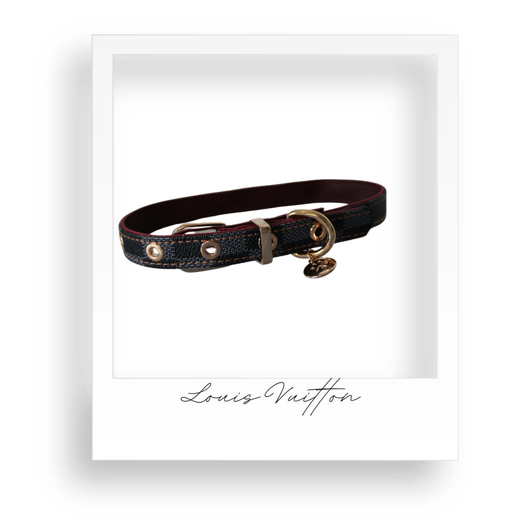 Dog/Cat Collar and Leash Set