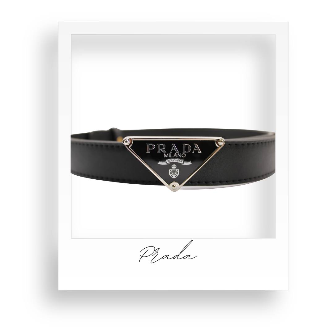 Black Belt with Silver Hardware
