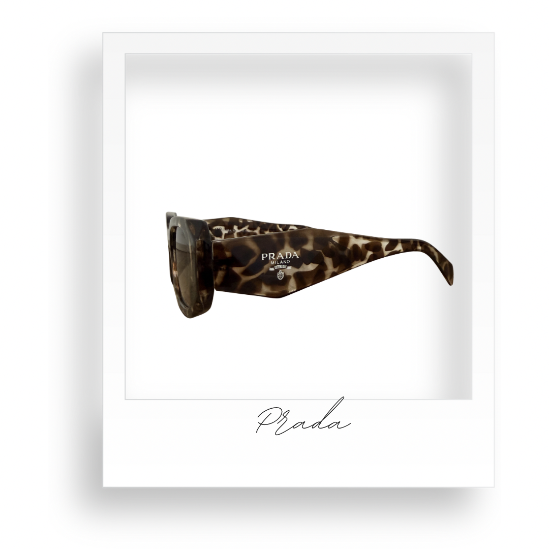 Black Leopard Sunglasses