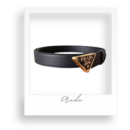 Black Belt with Gold Hardware