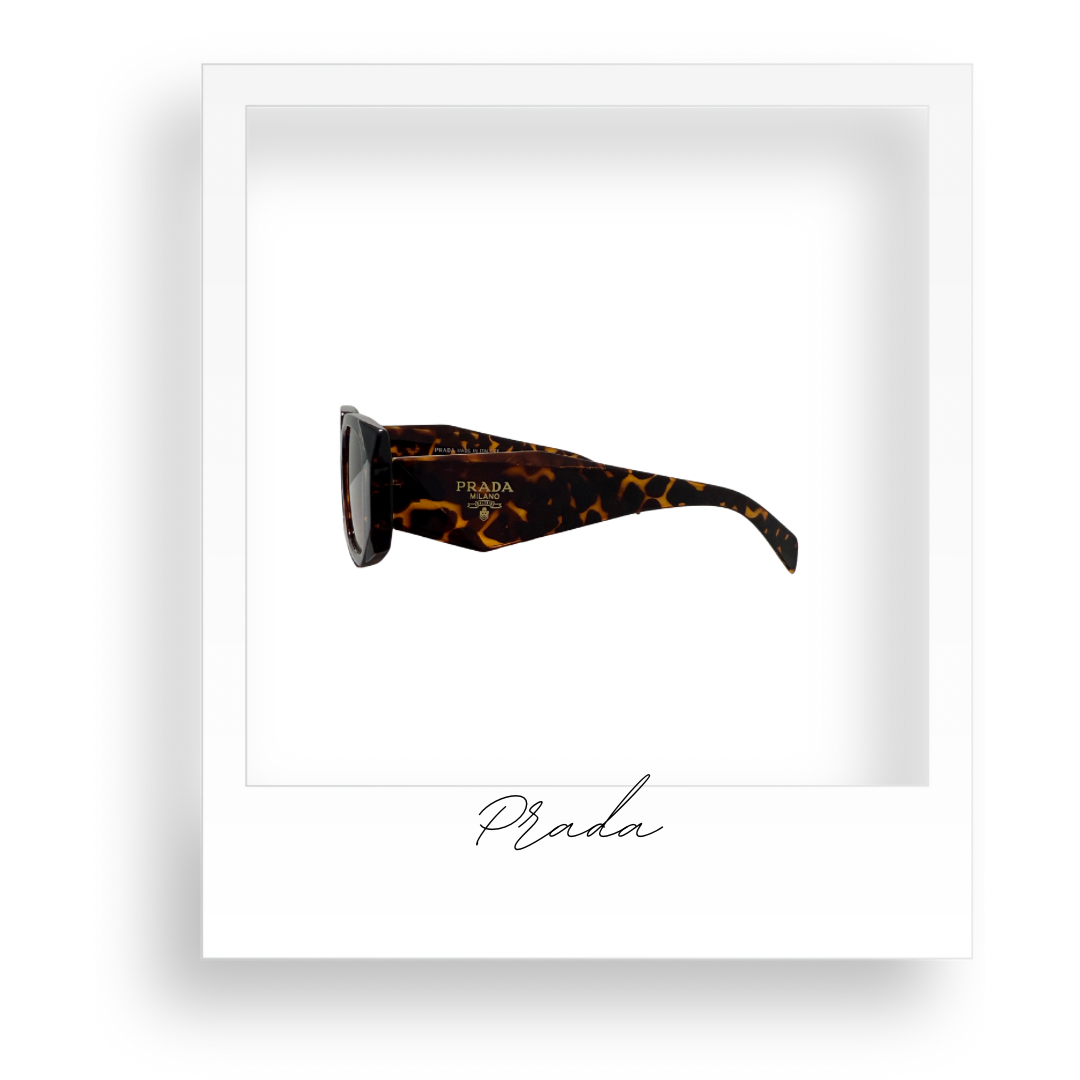 Brown Sunglasses