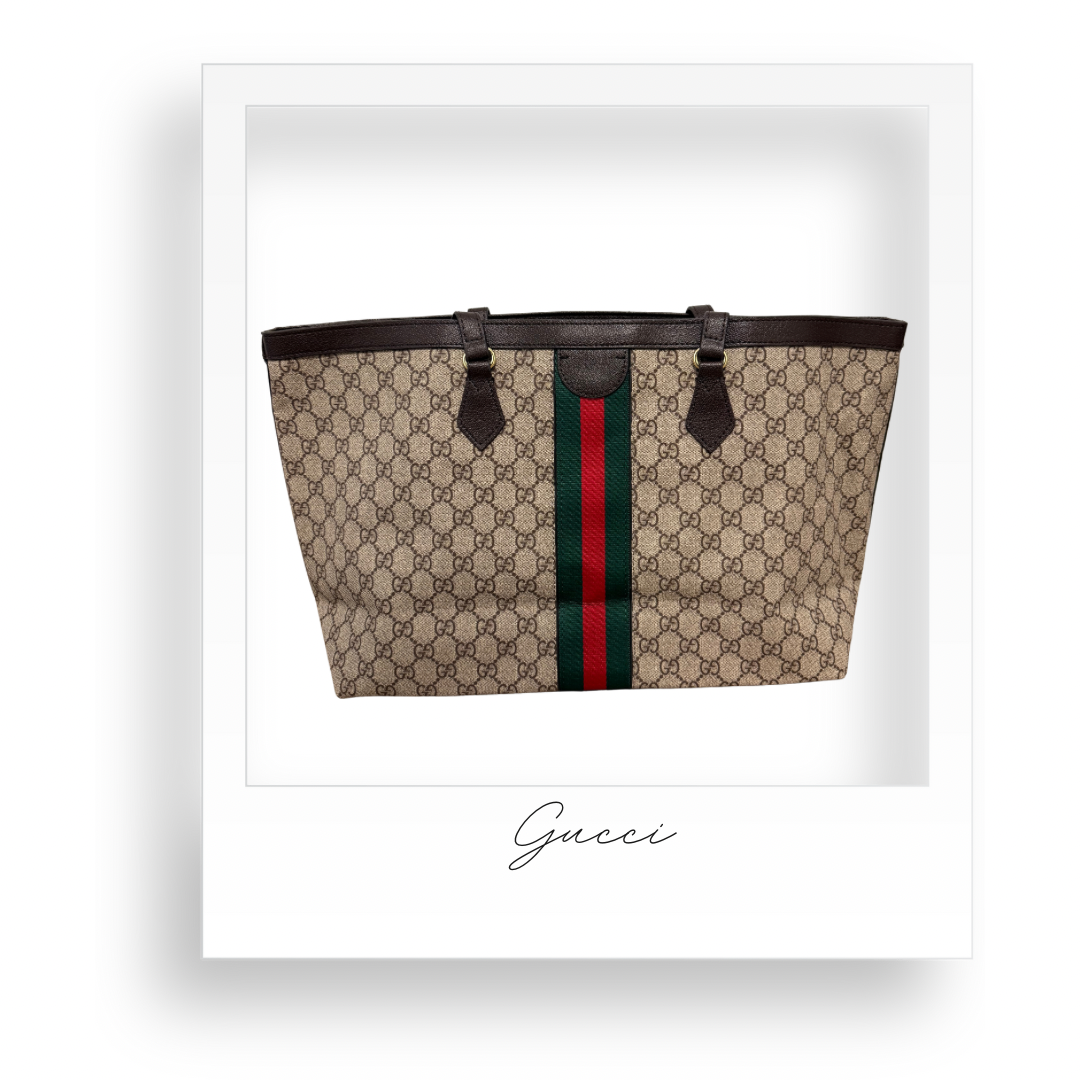 Brown Tote Purse